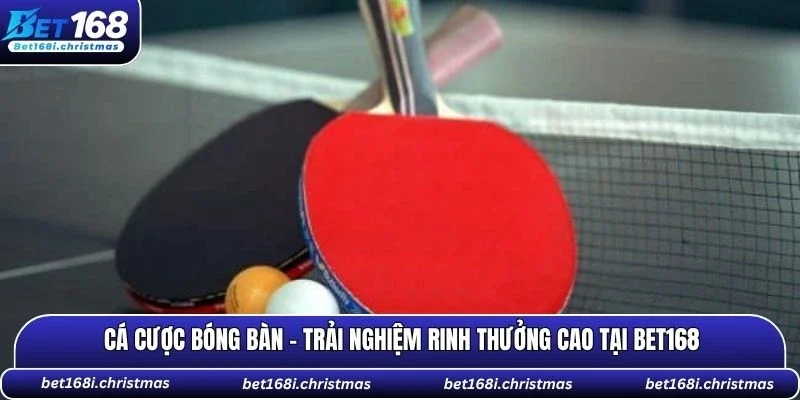 Cá cược bóng bàn